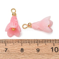 染色された合成サンゴペンダント  真鍮製のループが付いた花のチャーム  18KGP本金メッキ  パールピンク  19x10mm  穴：3mm&nbsp;GG-CBAC295-03G-03