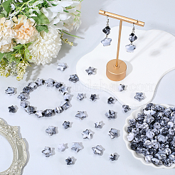 300個2スタイルアクリルビーズ  スター  天然石風  ブラック  11~14x11~15x7~10mm  穴：2mm&nbsp;OACR-PA0001-72