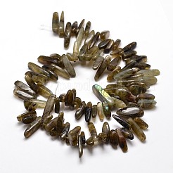 天然なラブラドライトチップビーズ連売り  8~30x5~12mm  穴：1mm  約15.3インチ〜15.7インチ&nbsp;G-E271-17