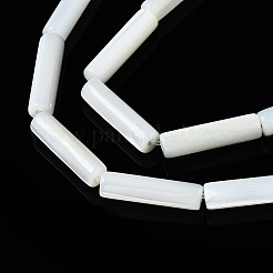 天然トロチッドシェル/トロカスシェルビーズ連売り  コラム  漂白  貝殻色  13x4mm  穴：0.7mm  約30個/連  15.94インチ（40.5cm）&nbsp;X-SSHEL-S266-020A-03