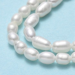 天然養殖淡水パールビーズ連売り  ライス  リネン  4.5~6.5x3.5~4mm  穴：0.6mm  約64~71個/連  14.57''~14.96