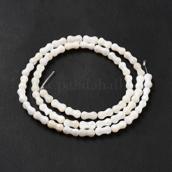 天然淡水シェルビーズ連売り  ピーナッツ  ホワイト  8x3.5mm  穴：0.7mm  約50個/連  15.16~15.28インチ（38.5~38.8cm）&nbsp;SHEL-G014-03
