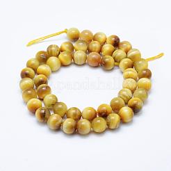 天然ゴールドタイガーアイビーズ連売り  ラウンド  8mm  穴：1mm  約47~48個/連  15.5インチ（39.5cm）&nbsp;G-K203-84-8mm
