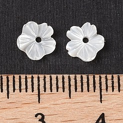 ナチュラルホワイトシェルビーズ  花  貝殻色  6x6x2mm  穴：0.9mm&nbsp;SSHEL-C012-23A