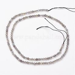 天然石ラブラドライトビーズ連売り  多面カット  ラウンド  3mm  穴：0.5mm  約149個/連  15.5インチ&nbsp;G-P213-38-3mm