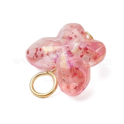 透明なアクリルビーズと鉄の平頭ピンのペンダント  蝶  ミックスカラー  18.5x18x9mm  穴：5mm&nbsp;PALLOY-JF03597