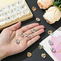 プレシオサ® マキシマ クリスタル ペンダント  チェコクリスタル  433 68 615 ハート  00030 200 クリスタル アブ  14mm  穴：1.4mm&nbsp;Y-PRC-PD14-00030-200