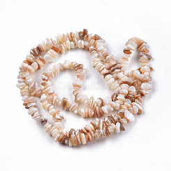 天然淡水シェルビーズ連売り  ナゲットチップス  5~11x4~7x2~5mm  穴：0.8mm  約291~313個/連  31.10インチ〜31.50インチ（79~80cm）&nbsp;SHEL-N026-210