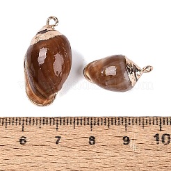 電気メッキナチュラルスパイラルシェルペンダント  金色の鉄製ループと真鍮製の縁取りが施された、巻貝のチャーム。  サドルブラウン  16.5~28.5x9~16x7.5~13mm  穴：1.6~1.8mm&nbsp;SSHEL-Q100-45G