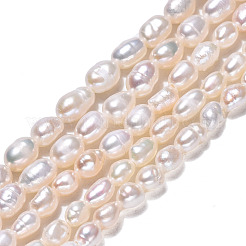 天然養殖淡水パールビーズ連売り  ライス  貝殻色  4~7.5x3~4mm  穴：0.6mm  約63~64個/連  13.58インチ（34.5cm）&nbsp;PEAR-N012-03D