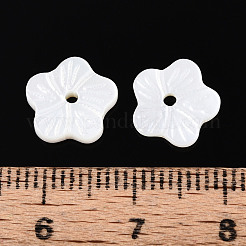 天然淡水シェルビーズ  花  貝殻色  10x10x2mm  穴：1.4~1.5mm&nbsp;BSHE-T014-15