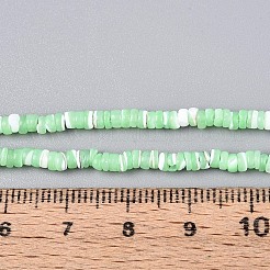 天然トロチッドシェル/トロカスシェルビーズ連売り  染め  フラットラウンド  ミディアムスプリンググリーン  2.5~3.5x0.2~3mm  穴：0.5~0.6mm  約270~290個/連  14.96~15.35インチ（38~39cm）&nbsp;SSHEL-N040-21C