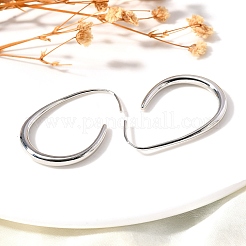 ティアドロップブラスダングルピアス  カドミウムフリー＆鉛フリー  長持ちメッキ  プラチナ  41x29x3mm&nbsp;EJEW-R018-01P