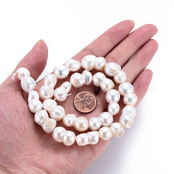 天然ケシパールビーズ連売り  養殖淡水パール  8形状  貝殻色  17~21x10~14x10~13mm  穴：0.6mm  約19~20個/連  15.35インチ（39cm）&nbsp;PEAR-S020-O01