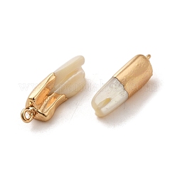 天然トロクスシェルペンダント  真鍮パーツ  ナゲットチャーム  ライトゴールド  18.5~23x7~10x4~7mm  穴：1.6~1.8mm&nbsp;SSHEL-H071-04KCG