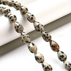 天然石ダルメシアンジャスパービーズ連売り  ティアドロップ  12x8mm  穴：1.2mm  約33~34個/連  15.16~16.54''（38.5~42センチメートル）&nbsp;G-B106-A29-02