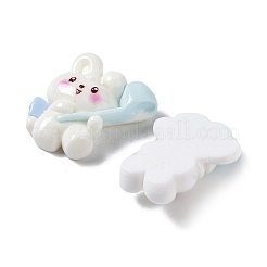 オペーク樹脂カボション  兎  ミックスカラー  21.5~22.5x16.5~19x8~8.5mm&nbsp;X1-CRES-M026-14