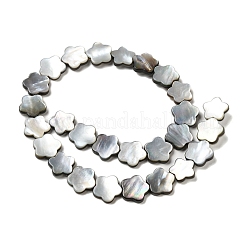 天然ブラックリップシェルビーズ連売り  スモモの花  花  15x15x3mm  穴：1mm  約27個/連  15.08''（38.3センチメートル）&nbsp;SHEL-M021-02B