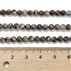 天然アストロライトジャスパービーズ連売り  ラウンド  4~4.5mm  穴：0.5mm  約94~99個/連  15.16~16.22インチ（38.5~41.2cm）&nbsp;G-F814-A01-4mm