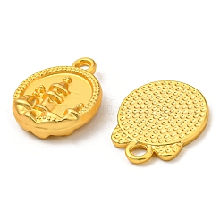 合金ペンダント  混合図形  マットゴールドカラー  12~30x6.5~22.5x1.5~9mm  穴：1.5~3mm&nbsp;PALLOY-XCP0001-98