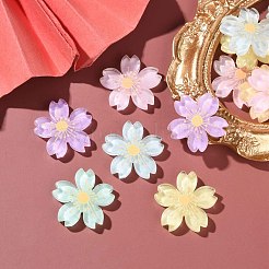 20本5色半透明樹脂カボション  ヘアアクセサリー用  グリッターチェリー  ミックスカラー  26mm  4個/カラー&nbsp;OHAR-YW0001-01