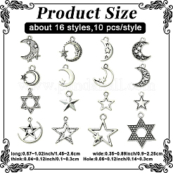 160pcs16スタイルチベットスタイルアロイペンダント  アンティークシルバー  14.5~26x9~22.5x1~3mm  穴：1.4~3mm  10個/スタイル&nbsp;TIBE-YW0002-06-RS