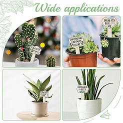 木製植物ラベル1セット  面白い言葉  種用鉢植えハーブ花野菜  フローラルホワイト  115~118x67~68x2.5~2.7mm  15個/セット&nbsp;AJEW-CP0007-40
