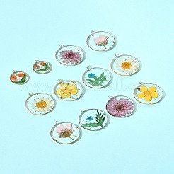 12 個 6 スタイル無色透明エポキシレジンペンダント  内側の花と縁に金メッキの合金ループチャーム  フラットラウンド  22~33.8x19~30x3.8~4mm  穴：1.4~2.5mm  2個/スタイル&nbsp;RESI-FS0001-88B