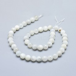 天然レインボー ムーンストーン ビーズ 連売り  ラウンド  8mm  穴：1mm  約47個/連  15.55インチ（39.5cm）&nbsp;G-F674-08-8mm
