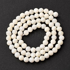 シェルビーズ連売り  多面カット  ラウンド  4~5mm  穴：0.5mm  約75個/連  14.57~14.96インチ（37~38cm）&nbsp;SSHEL-E571-38-4mm-01