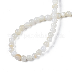 天然淡水シェルビーズ連売り  染め  ラウンド  ゴーストホワイト  2.5~3.5mm  穴：0.5~0.6mm  約122~136個/連  14.57インチ〜15.63インチ（37cm〜39.7cm）&nbsp;X-BSHE-T009A-01A