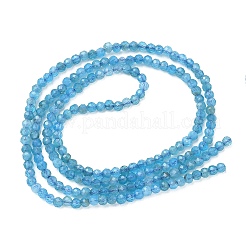 天然石アパタイトビーズ連売り  ラウンド  多面カット  2mm  穴：0.5mm  約213個/連  15.51''（39.4センチメートル）&nbsp;G-Z160-A01-2mm