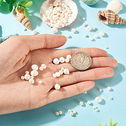 100個 5スタイル 天然養殖淡水パールビーズ  ポテト  乳白色  2~7mm  穴：0.5~0.7mm  20個/スタイル&nbsp;PEAR-TA0001-56