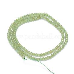 天然石アパタイトビーズ連売り  多面カット  ラウンド  3~3.5mm  穴：0.5mm  約137個/連  15.35インチ（39cm）&nbsp;G-E411-27A-3mm
