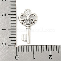 合金のチベット風チャーム  カドミウムフリー＆鉛フリー  キー  アンティークシルバー  23x12x2mm  穴：2mm  約1176個/1000g&nbsp;FIND-M011-14AS