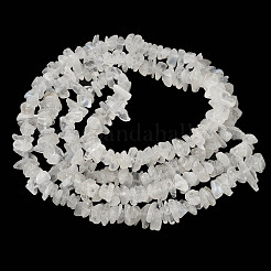 天然レインボームーンストーンチップビーズ連売り  グレードA  3.5~12x3~9x1~5.5mm  穴：0.6~0.8mm  31.10~34.65インチ（79~88cm）&nbsp;G-C195-01