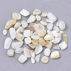 淡水シェルビーズ  ドリルなし/穴なしビーズ  チップ  貝殻色  1~16x1~5x0.5~5mm&nbsp;X-SHEL-S266-11