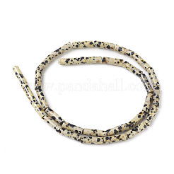 天然石ダルメシアンジャスパービーズ連売り  コラム  13~14x4mm  穴：1mm  約30個/連  15.9インチ（40.5cm）&nbsp;X-G-F247-21