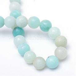 ラウンド天然のグレードAアマゾナイトビーズ連売り  6mm  穴：1mm  約58~61個/連  15インチ&nbsp;G-R345-6mm-16