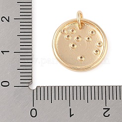 透明なキュービックジルコニアペンダント付き真鍮  丸カン付き  フラットラウンド  水瓶座  15.5x2mm  穴：3.5mm&nbsp;LS-KK-N256-24K-G
