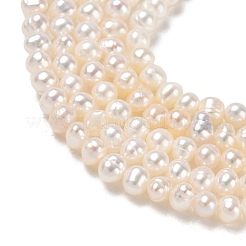 天然養殖淡水パールビーズ連売り  グレード3 A  ポテト  ベージュ  2~3mm  穴：0.1mm  約133~135個/連  14.96''（38センチメートル）&nbsp;PA-CBAC463-35