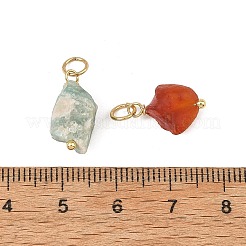 天然の原石の混合ペンダント  真鍮のループが付いたナゲットチャーム  ゴールドカラー  染めと未染色の混合  ミックスカラー  12~15.5x6~12.5x6~9.5mm  穴：3.5mm&nbsp;PALLOY-JF06060