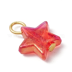透明なアクリルパーツ  304ステンレススチールループ付き  スター  ミックスカラー  15x12x4mm  穴：3mm&nbsp;PALLOY-JF03549