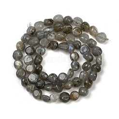 天然石ラブラドライトビーズ連売り  ナゲット  タンブルストーン  5~7x4~7x4~7mm  穴：0.7mm  約64~65個/連  15.75~15.94''（40~40.5センチメートル）&nbsp;G-Q060-B02