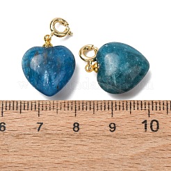 天然アパタイトのハートペンダント装飾  真鍮の留め金付き  ゴールドカラー  24.5~25.5mm  穴：3mm&nbsp;G-B188-06G-08