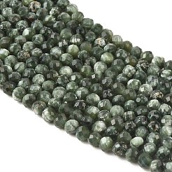 天然セラフィナイトビーズ連売り  多面カット  ラウンド  2mm  穴：0.5mm  約194~197個/連  15.28''~15.47''（38.8~39.3センチメートル）&nbsp;G-K376-A02-2mm