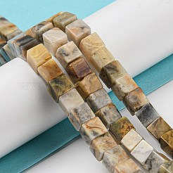 天然クレイジーレースアゲートビーズ連売り  キューブ  6~6.5x6~6.5x6~6.5mm  穴：1.2mm  約63~64個/連  15''~15.16''（38.1~38.5センチメートル）&nbsp;G-Q1008-B11