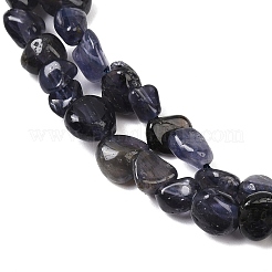 天然アイオライト/コーディエライト/ダイクロアイトビーズ連売り  ナゲット  4~10x4~8x4~8mm  穴：0.8mm  約55~59個/連  15.43~15.75''（39.2~40センチメートル）&nbsp;G-A284-A02-01