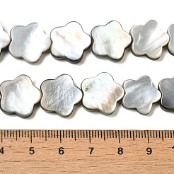天然ブラックリップシェルビーズ連売り  スモモの花  花  15x15x3mm  穴：1mm  約27個/連  15.08''（38.3センチメートル）&nbsp;SHEL-M021-02B