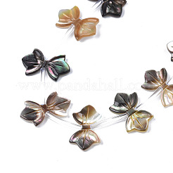 天然ブラックリップシェルビーズ連売り  蝶結び  10x16~17x2mm  穴：0.5mm  約20個/連  11.73インチ（29.8cm）&nbsp;SSHEL-S278-123A